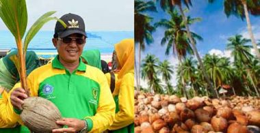 ada-yang-menyarankan-agar-bupati-inhil-hm-wardan-dinobatkan-sebagai-presiden-kelapa-dunia